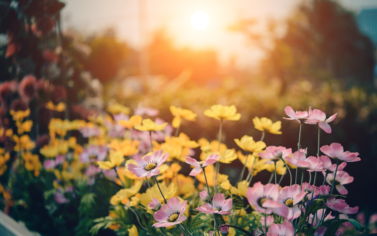 Tropical Gardening in a Small Space: Tips for a Mini Jungle