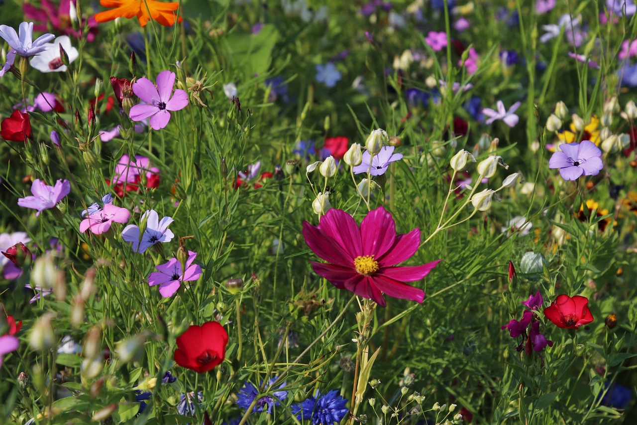 Herb Garden Hacks: Tips for Thriving Plants in Small Areas