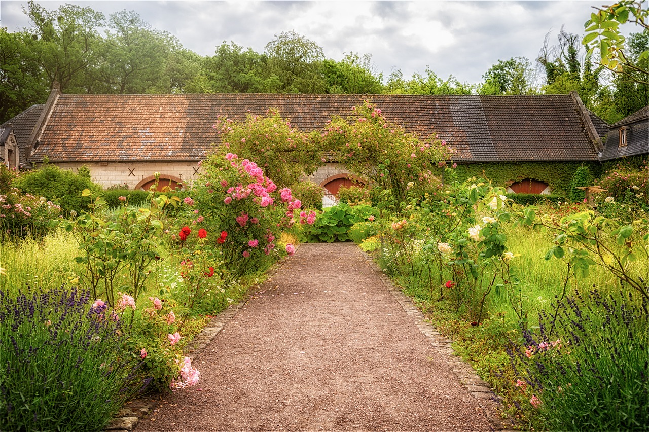 Seasonal Herb Guide: What to Grow Indoors Throughout the Year