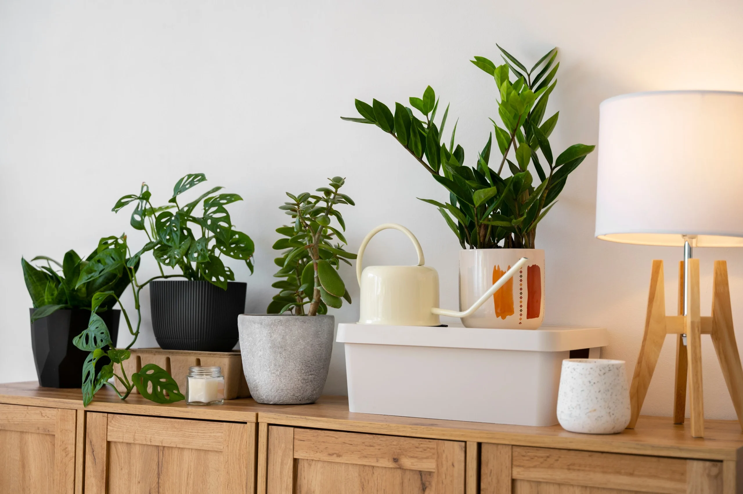 Stylish Stacking: How to Create Beautiful Plant Arrangements at Home