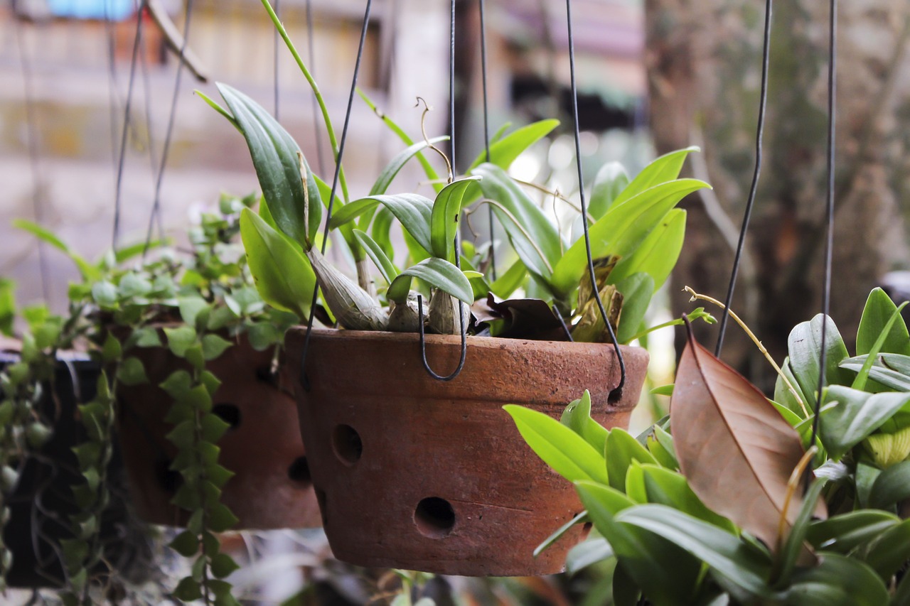 The Art of Terrariums: Designing Beautiful Green Spaces in Glass