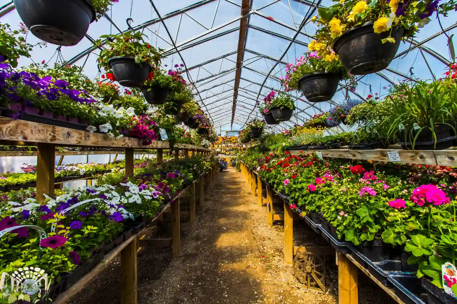 a greenhouse with many pots of flowers