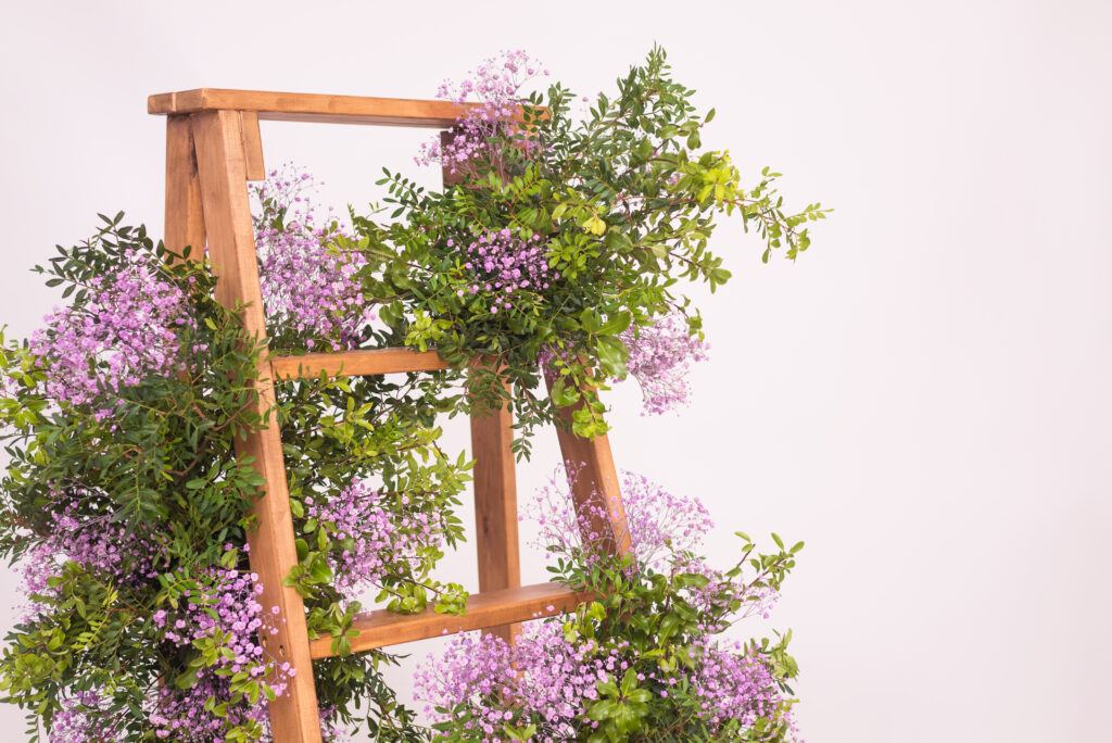 Vintage wooden ladder leaning against a wall with plant boards across each rung, creating a rustic vertical plant display with cascading foliage
