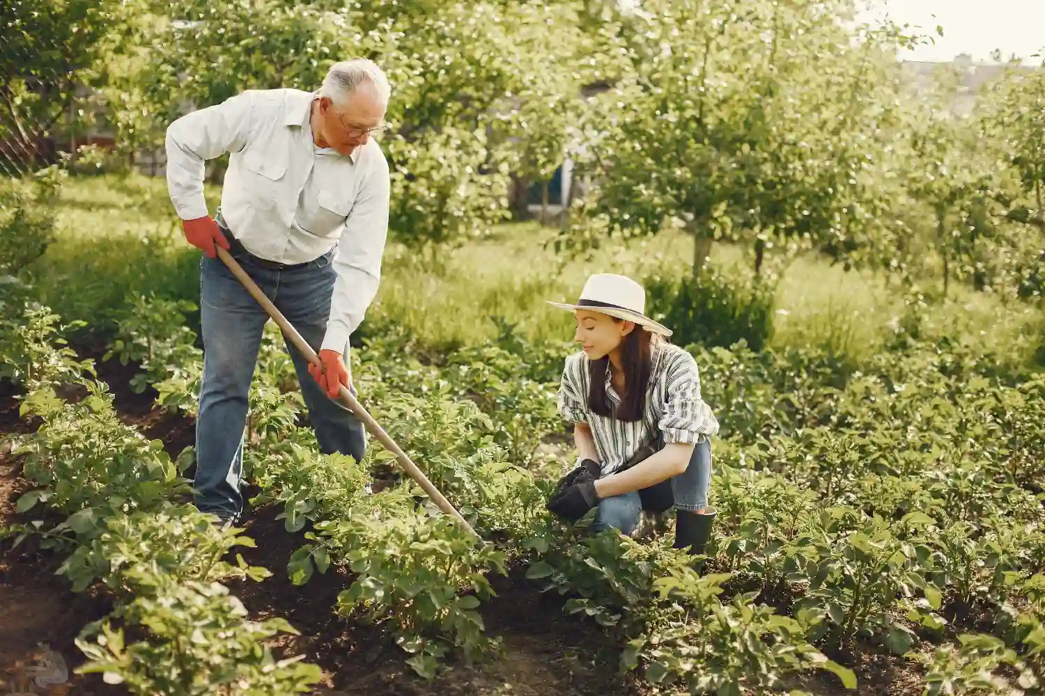 a man and woman working in a garden