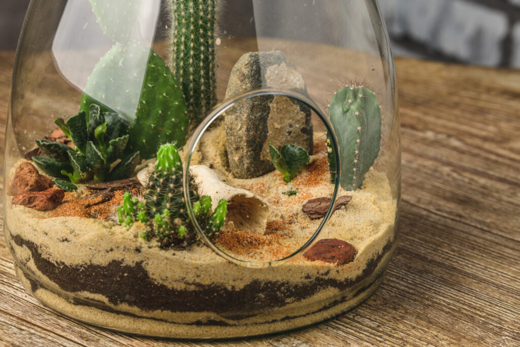A repurposed vintage glass candy jar transformed into a thriving terrarium with moss, ferns, and decorative stones, showcasing creative upcycling for indoor gardening