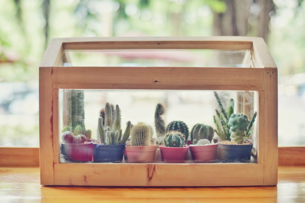 Bright living room featuring multiple glass terrariums of varying sizes displayed on wooden shelves and side tables near windows