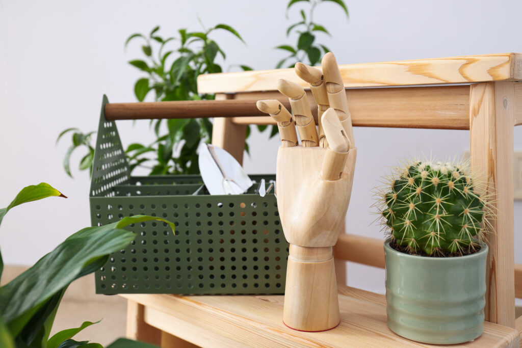  Collection of sculptural plants including snake plant, ZZ plant, and monstera arranged individually on simple surfaces with minimal containers