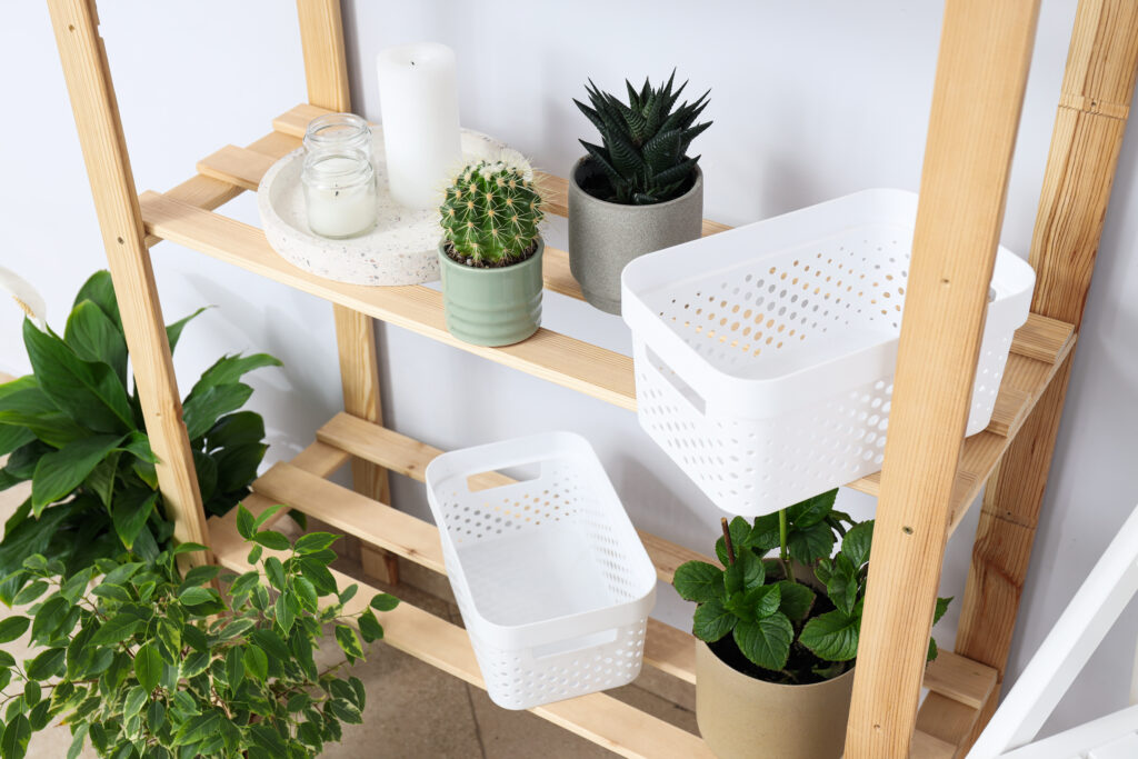 Living room featuring three wooden wall-mounted shelves displaying a curated mix of trailing plants, small potted succulents, and decorative plant accessories.