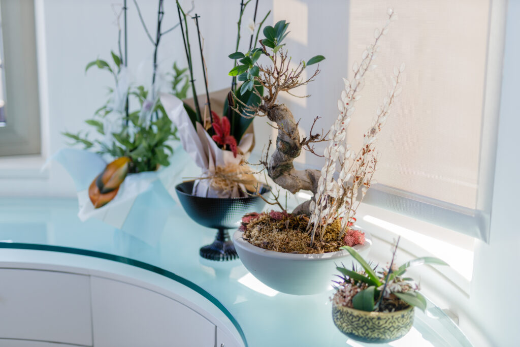 Glass terrarium receiving both natural window light and artificial grow light, creating ideal lighting conditions for indoor plants.