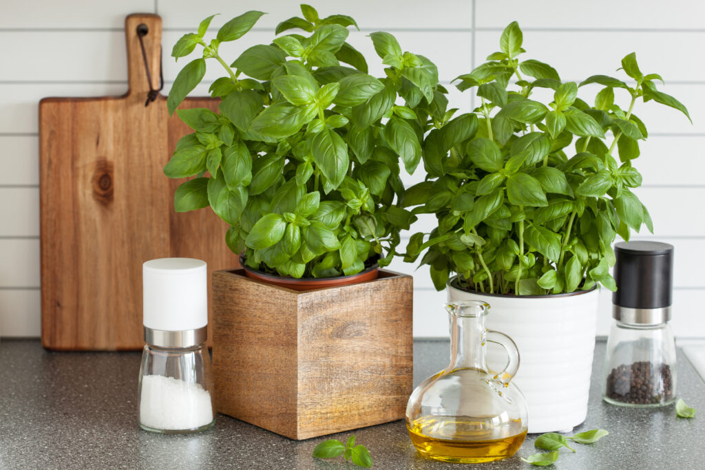 A tiered vertical herb planter showcasing herbs like basil and mint in a small kitchen space.