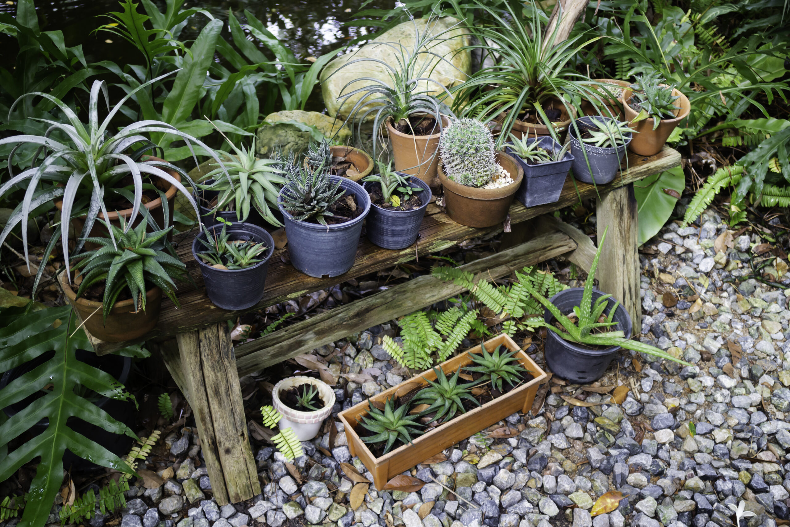 Industrial-style plant shelf featuring dark metal brackets supporting thick reclaimed wood planks with various plants arranged in metal and ceramic containers