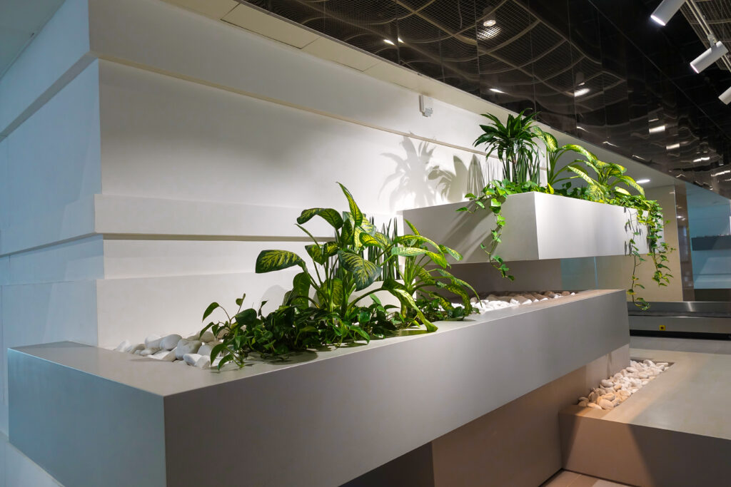 Sleek glass shelving unit with multiple levels displaying an arrangement of architectural plants against a white wall, creating floating effect in a minimalist interior