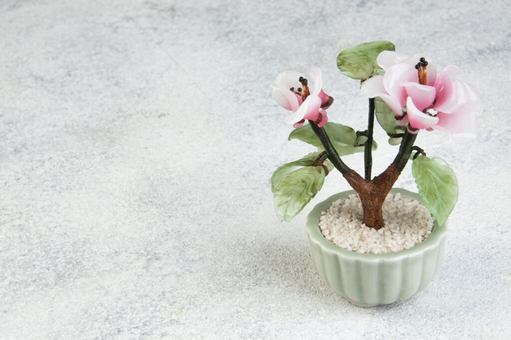 Minimalist terrarium featuring fine white sand with rake patterns, small rocks, and a single bonsai-style plant