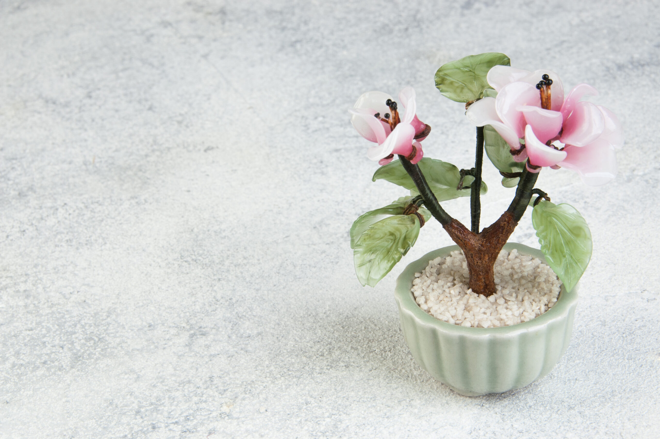 Minimalist terrarium featuring fine white sand with rake patterns, small rocks, and a single bonsai-style plant