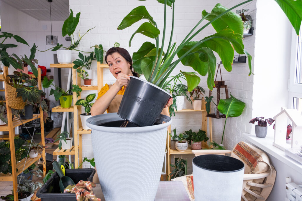 A compact composting indoors setup for producing nutrient-rich soil.