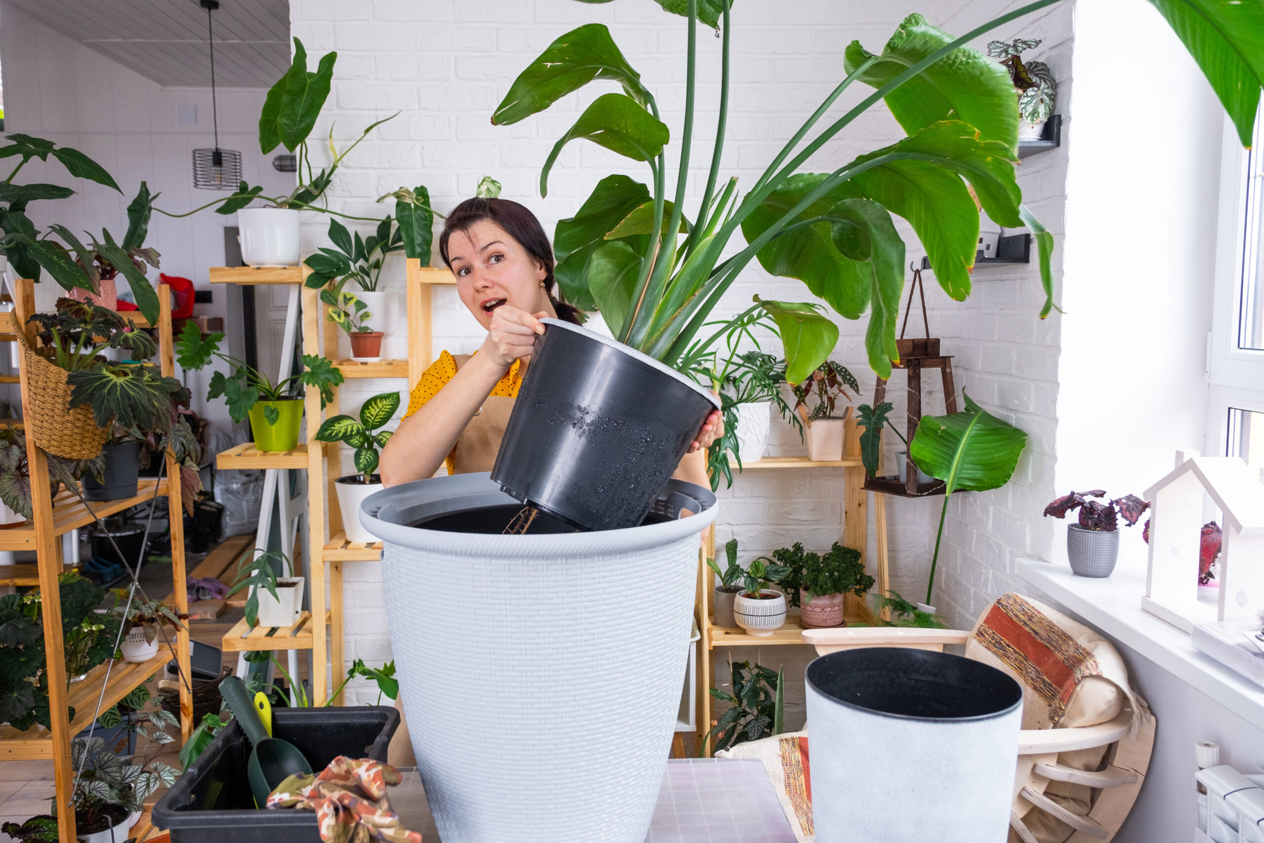 A compact composting indoors setup for producing nutrient-rich soil.
