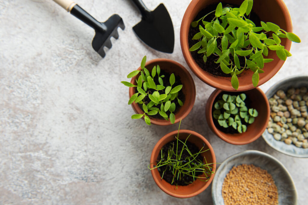 Multiple herb plants in custom soil mixes, showcasing expert-level herb container hacks.