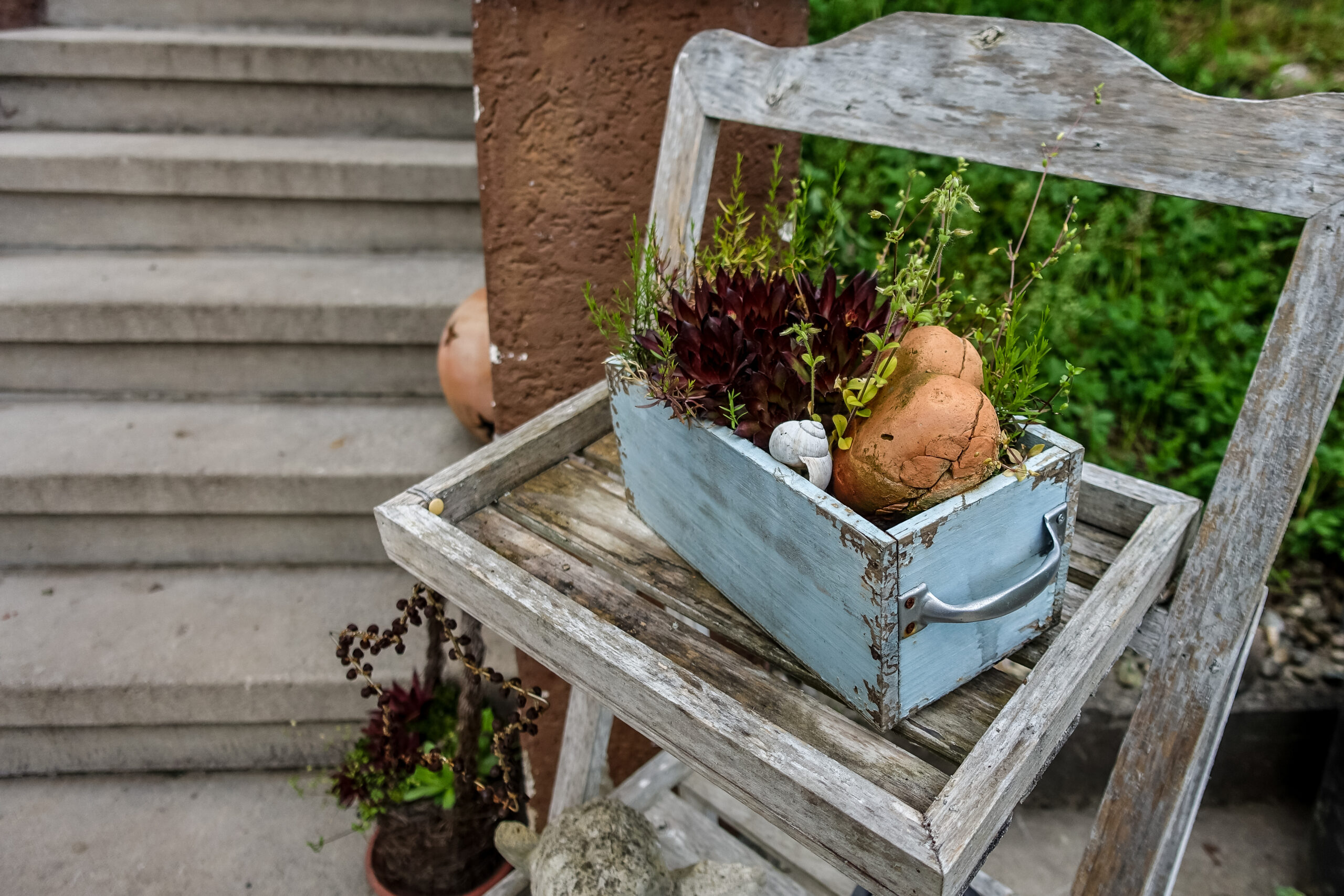 Assortment of creatively repurposed thrift store finds including a ladder, wooden crates, and vintage suitcases arranged as plant shelves with various potted plants