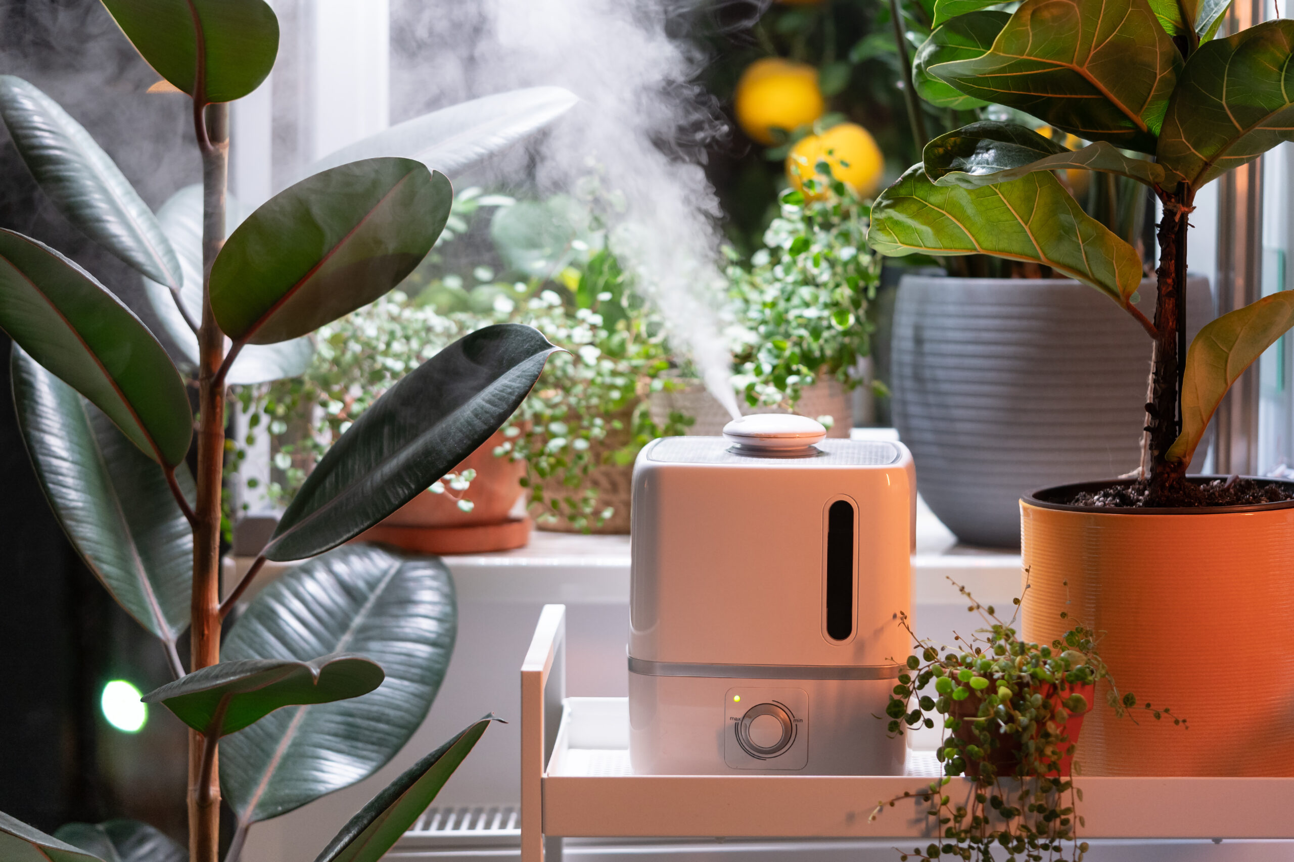 A small fan used for indoor herb garden troubleshooting to prevent mold buildup.