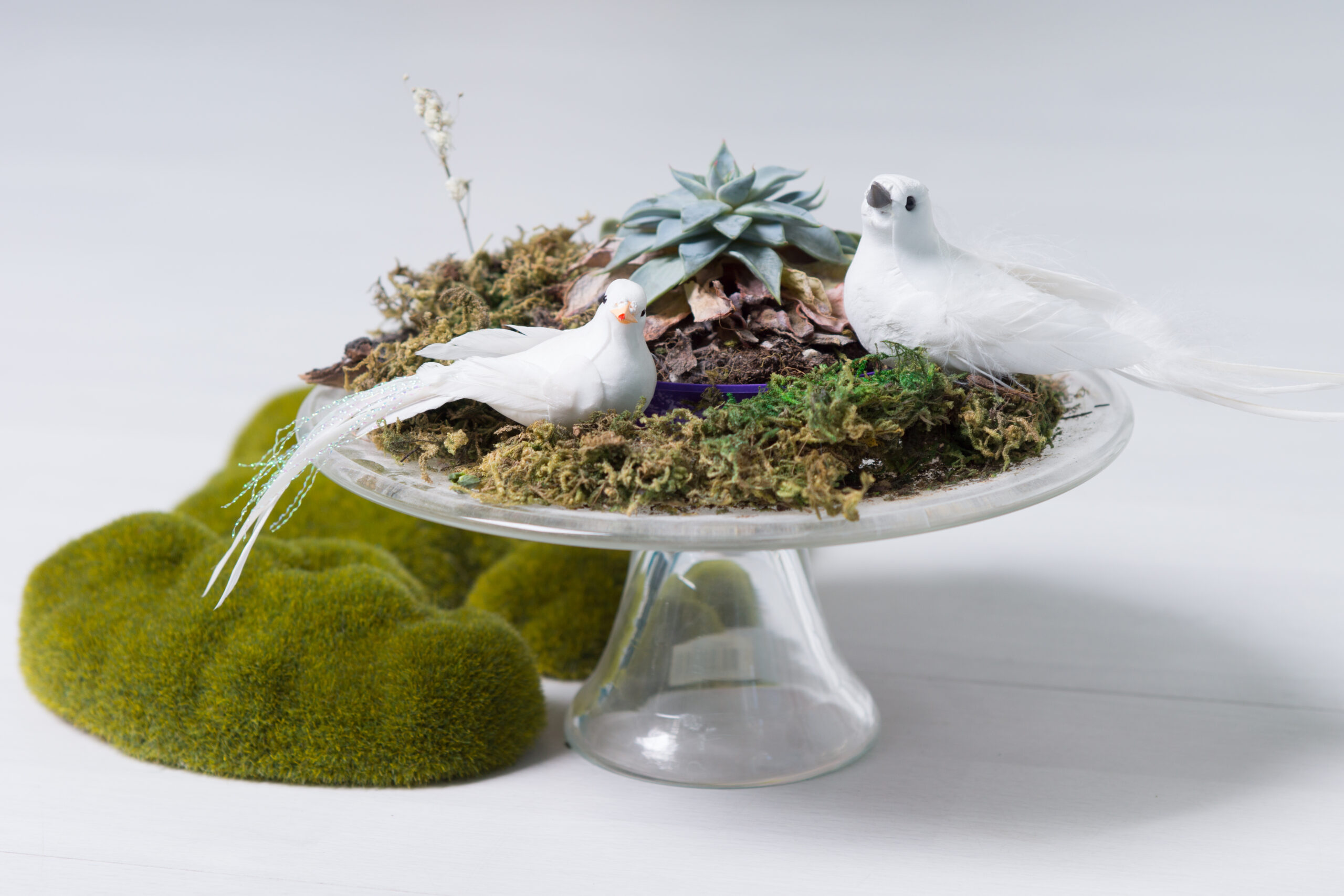 Desert-themed succulent terrarium featuring varied textures and colors of low-maintenance plants in a clear glass container.