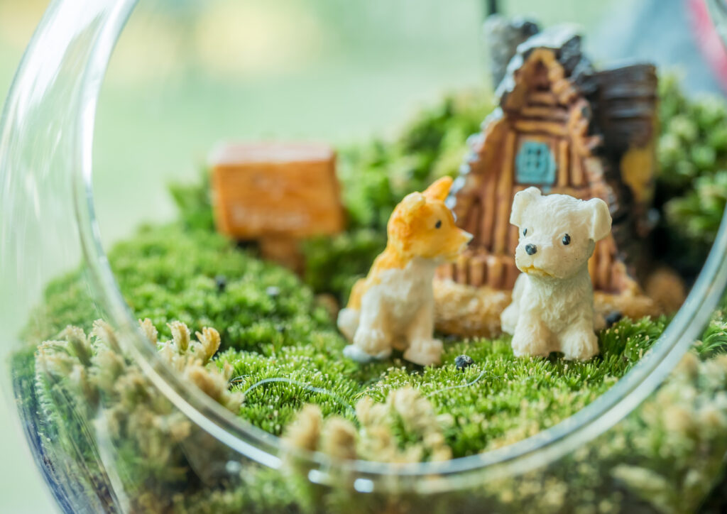 A lush woodland terrarium with moss, tiny ferns, and miniature mushrooms in a glass container, creating a magical miniature forest scene