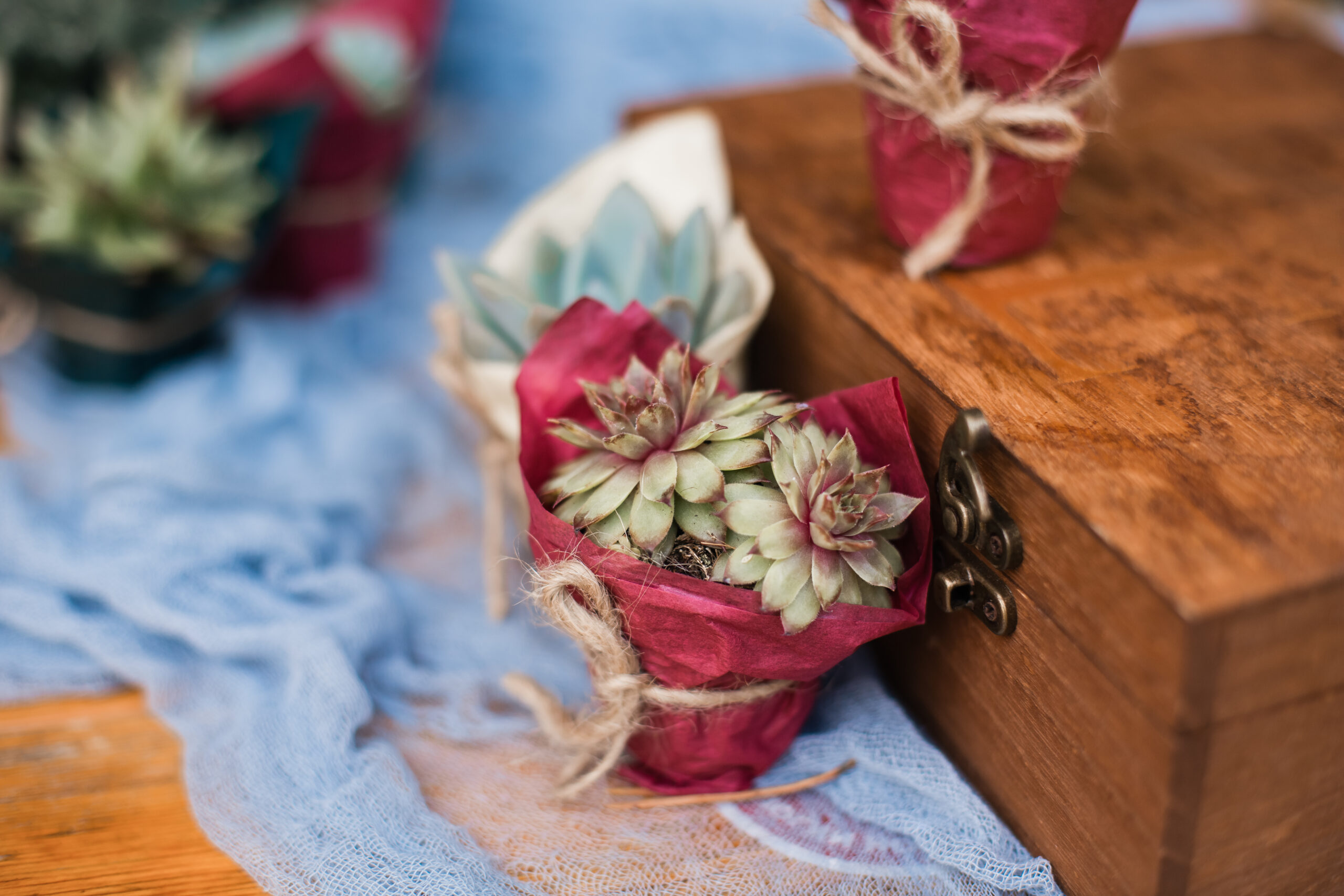 Succulent centerpiece featuring rosette succulents and trailing varieties as table decor.