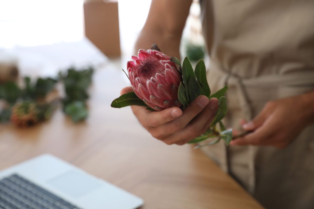Hands arranging rosette succulents in a low-profile bowl for a DIY centerpiece.